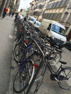 2016-06-15 08.50.29 HDR